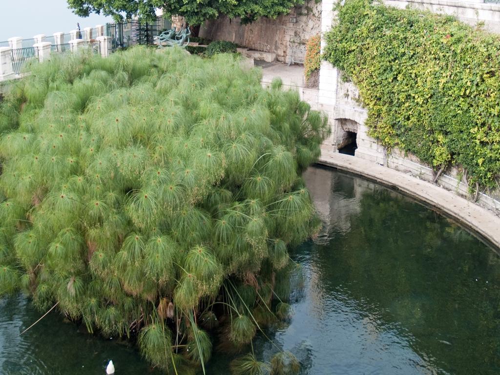 Rosa Di Ortigia Appartement Syracuse Buitenkant foto